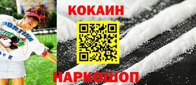 индика Дубна