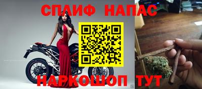 индика Дубна