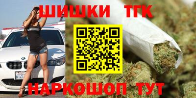 индика Дубна