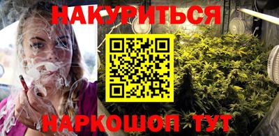 индика Дубна