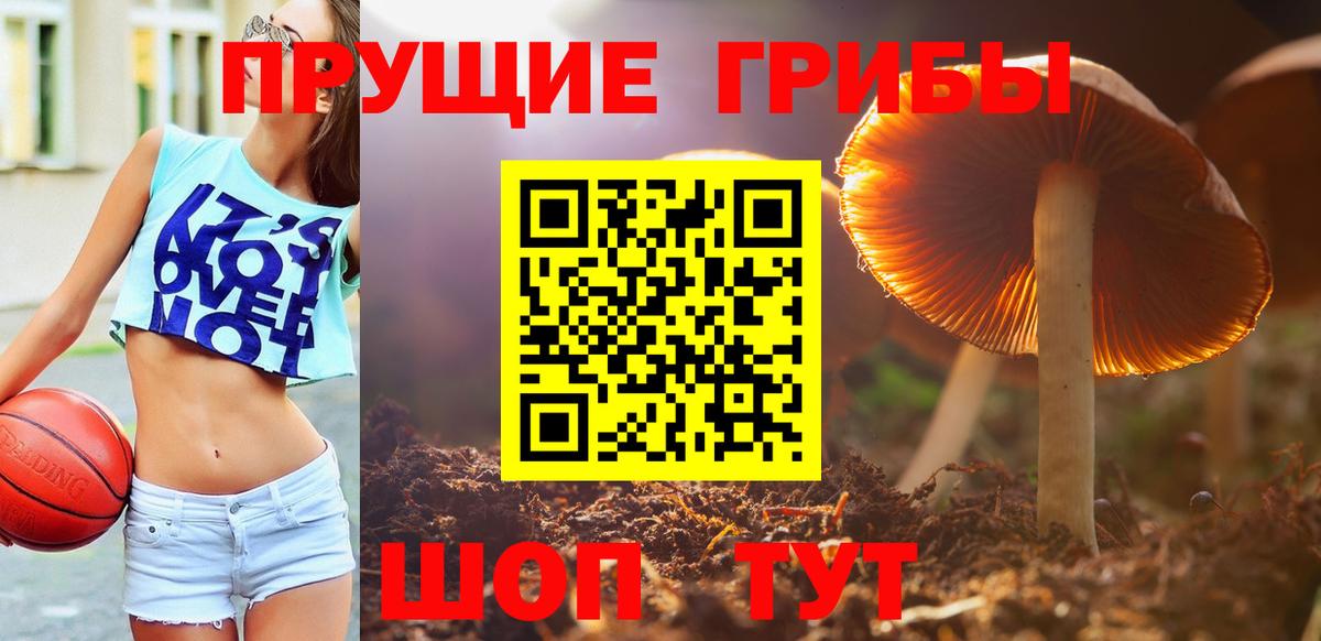 Псилоцибиновые грибы прущие грибы  Вход с VPN  Галлюциногенные грибы прущие грибы  Лесозаводск 