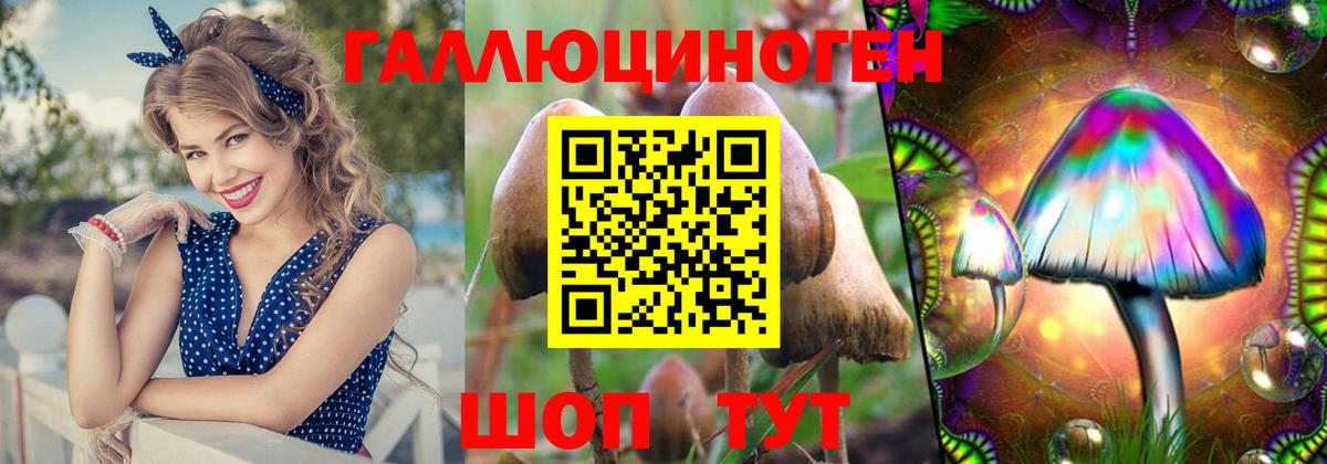Псилоцибиновые грибы прущие грибы Лесозаводск