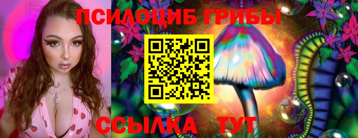 Меф мяу мяу Лесозаводск