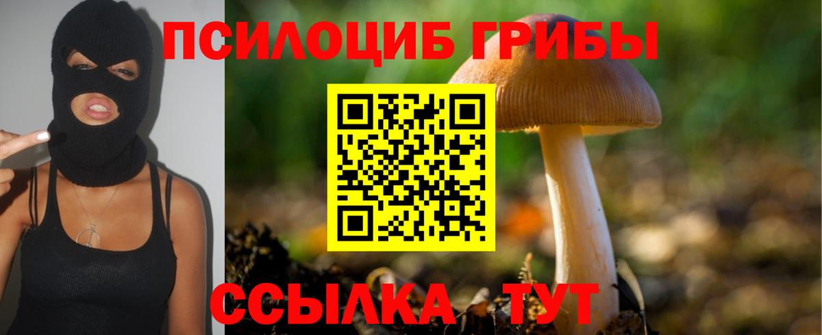 Псилоцибиновые грибы Psilocybe  где найти наркотики  Галлюциногенные грибы GOLDEN TEACHER  Лесозаводск 