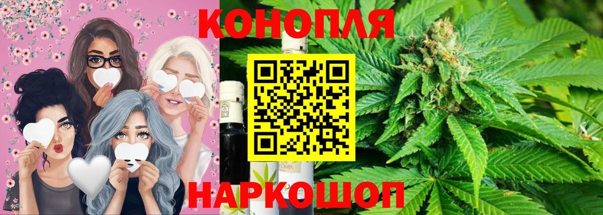 Канабис конопля Лесозаводск